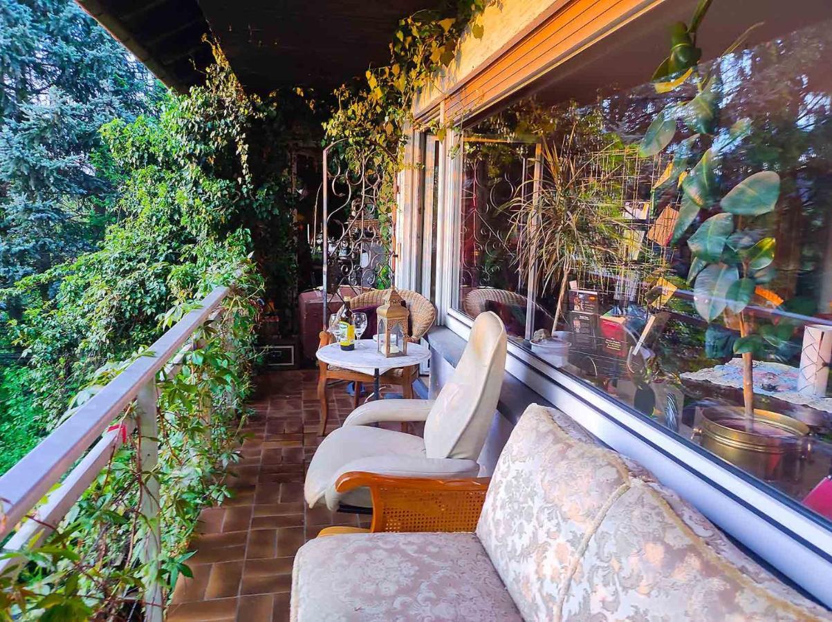 Homestay Freiraum